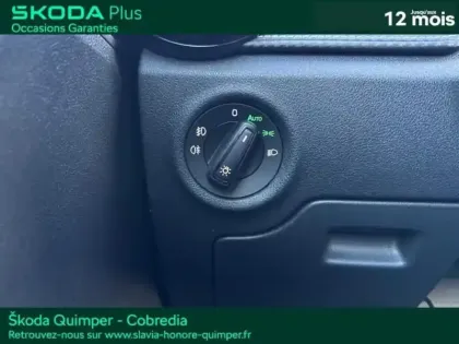 Photo 12 Skoda Fabia  1.0 TSI 95ch Monte Carlo