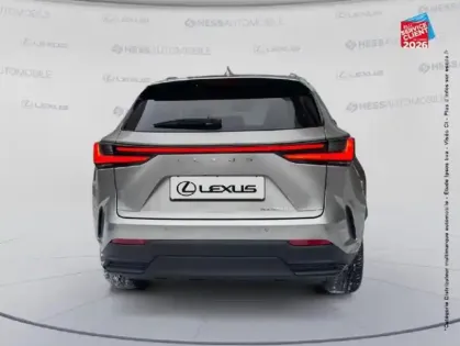 Photo 6 Lexus Nx  450h+ Executive 4WD MY25