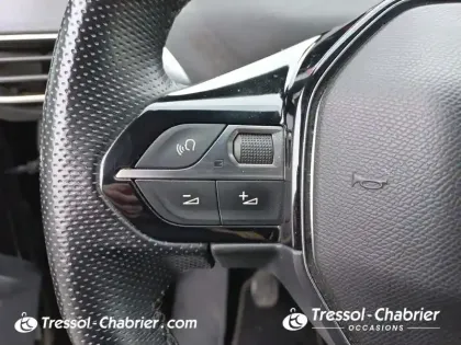 Photo 22 Peugeot 3008  BlueHDi 130ch S&S BVM6