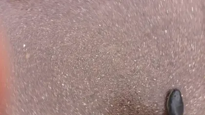 Photo 20 Renault Zoé Zoe R110 Achat Intégral - 21