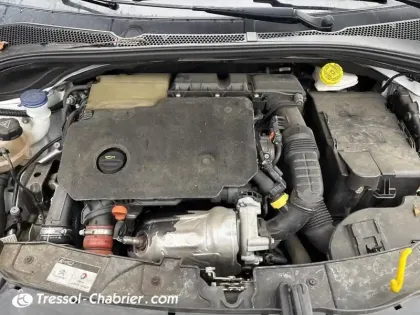 Photo 6 Citroën C3  BlueHDi 100 S&S BVM6 Shine Business