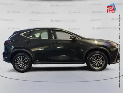 Photo 18 Lexus Nx  350h Pack Business 2WD MY25