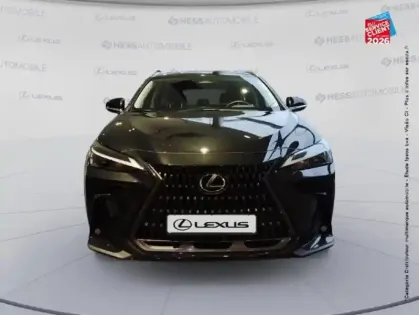 Photo 16 Lexus Nx  350h Pack Business 2WD MY25