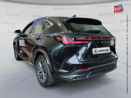 Photo 22 Lexus Nx  350h Pack Business 2WD MY25