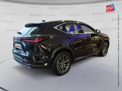 Photo 20 Lexus Nx  350h Pack Business 2WD MY25