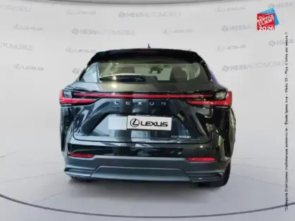 Photo 6 Lexus Nx  350h Pack Business 2WD MY25