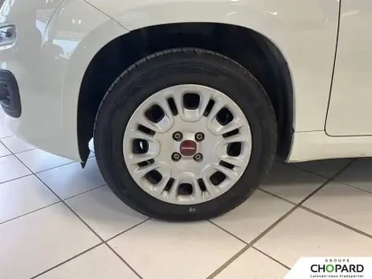 Photo 11 Fiat Panda  1.2 69 ch S/S