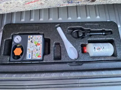 Photo 24 Ford Ecosport 1.0 EcoBoost 125ch Active 147g