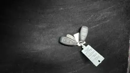 Photo 25 Ford Puma  1.0 Flexifuel 125 ch mHEV S&S BVM6