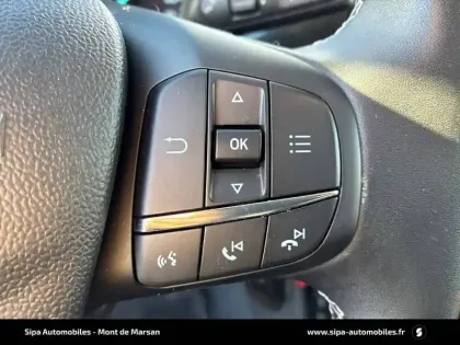 Photo 22 Ford Puma  1.0 Flexifuel 125 ch mHEV S&S BVM6