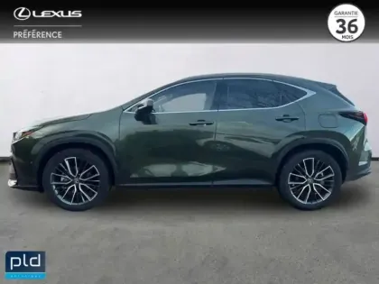 Photo 6 Lexus Nx  350h Executive 4WD MY25