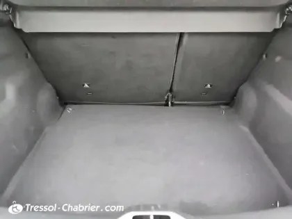 Photo 13 Citroën C4  Cactus BlueHDi 100 S&S BVM6