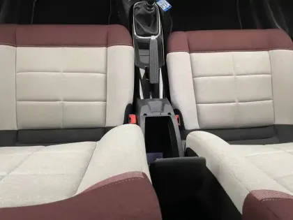 Photo 24 Citroën C4 Cactus  PureTech 110 S&S BVM6