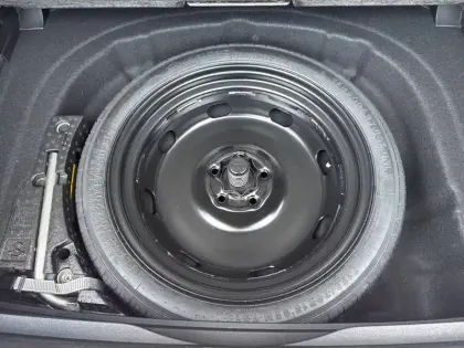 Photo 55 Volkswagen Golf  2.0 TSI EVO4 265 DSG7