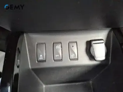 Photo 21 Dacia Spring  Achat Intégral