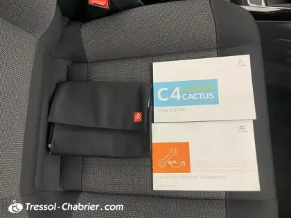 Photo 15 Citroën C4 Cactus  PureTech 110 S&S EAT6 Feel