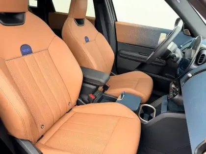 Photo 22 Mini Countryman  E 204ch Favoured