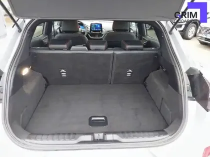 Photo 11 Ford Puma  1.0 EcoBoost 155 ch mHEV S&S Powershift