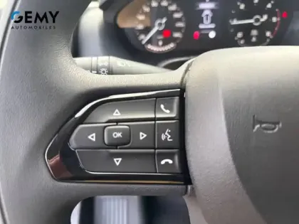 Photo 38 Peugeot Boxer  FGN TOLE 3.5 T D L3H2 140 CH AUT.