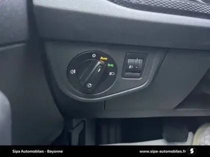 Photo 15 Volkswagen Polo  1.0 TSI 110 S&S DSG7