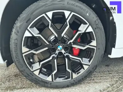 Photo 12 BMW X3  30e xDrive 299 ch BVA8