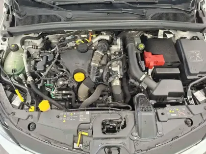 Photo 37 Renault Clio  SOCIETE BLUE DCI 100