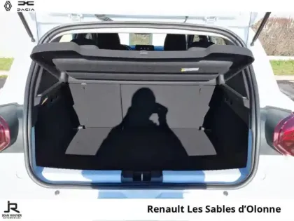 Photo 6 Dacia Sandero  1.0 TCe 90ch Stepway Confort -22