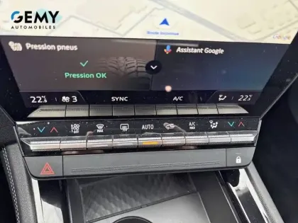 Photo 20 Renault Austral  mild hybrid 160 auto