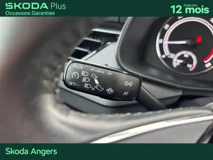 Photo 18 Skoda Kamiq  1.0 TSI Evo 110 ch DSG7