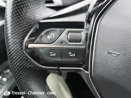 Photo 18 Peugeot 3008  Puretech 130ch S&S BVM6 GT