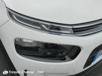 Photo 13 Citroën C4  Cactus PureTech 110 S&S BVM6 Origins