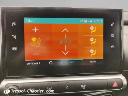 Photo 10 Citroën C4  Cactus PureTech 110 S&S BVM6 Origins