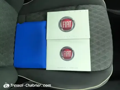 Photo 29 Fiat 500 Gén. I Ph2 City Cross 5