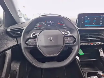 Photo 8 Peugeot 2008 Gén. II Ph1 NG Style 5