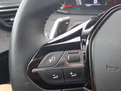 Photo 22 Peugeot 2008 Gén. II Ph1 NG Style 5