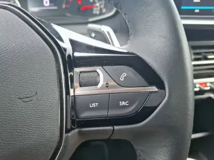 Photo 21 Peugeot 2008 Gén. II Ph1 NG Style 5