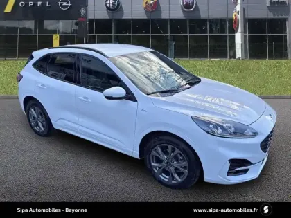 Photo 86 Ford Kuga  2.5 Duratec 190 ch FlexiFuel FHEV E85 Powershift