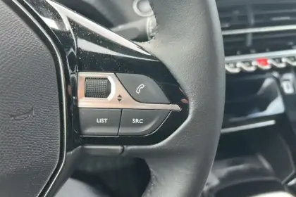 Photo 31 Peugeot 2008  100 S&S BVM6