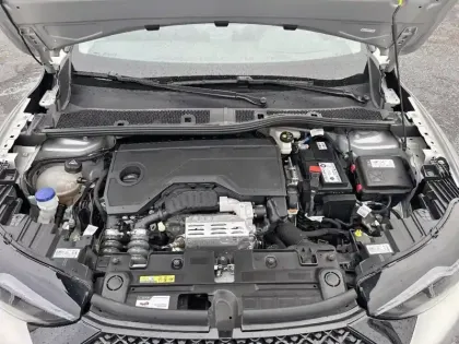 Photo 6 DS DS 3 DS3 Crossback PureTech 100 BVM6 Performance Line