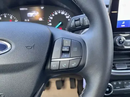 Photo 16 Ford Puma 1.0 Flexifuel 125ch S&S mHEV Titanium Business