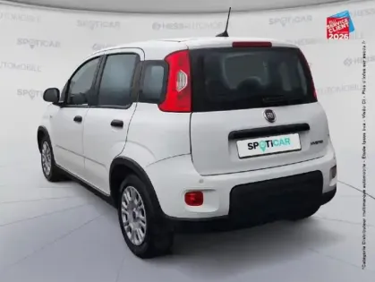 Photo 7 Fiat Panda  1.0 70ch BSG S&S Pack Confort