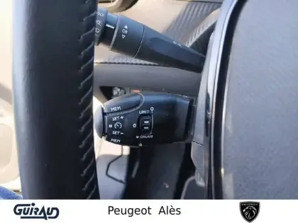 Photo 18 Peugeot 2008  BlueHDi 110 S&S BVM6