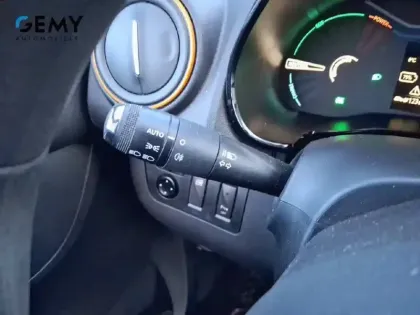 Photo 16 Dacia Spring  Achat Intégral