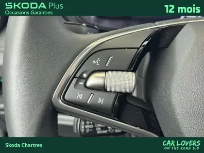 Photo 18 Skoda Fabia  1.0 TSI 95 ch EVO 2 BVM5