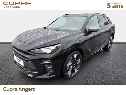 Photo Cupra Terramar V