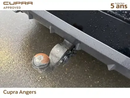 Photo 16 Cupra Terramar  1.5 eHybrid 204 ch DSG6