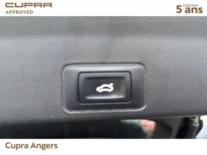 Photo 18 Cupra Terramar  1.5 eHybrid 204 ch DSG6