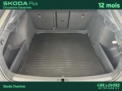 Photo 15 Skoda Octavia  1.5 TSI Hybrid 150 ch ACT DSG7