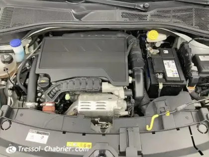 Photo 6 Citroën C4  Cactus PureTech 110 S&S BVM6 Shine