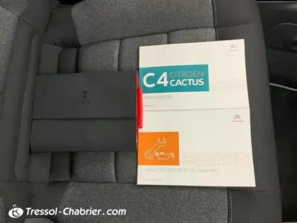 Photo 15 Citroën C4  Cactus PureTech 110 S&S BVM6 Shine